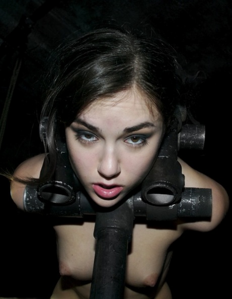 Sasha Grey modella sexy archivio